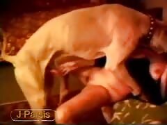 Dog pounding hard inside the pussy of a kinky babe