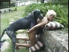 Beastiality lovers enjoying dog sex together