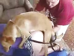 Kinky lady enjoyed getting humped by a dog
