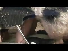 Pig fucking a beastiality lover's ass