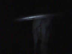 Horse banging a naked whore from behind