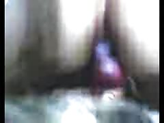 Slut riding a huge dog cock in dog porno