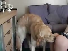 Big dog fucking a petite teen on the couch