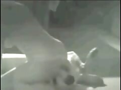 Amateur slut got banged by a dog