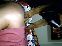 Dog fucking a big ass beastie gal