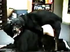 Dog banging a sexy babe with its huge cock