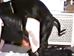 Big black dog banging a beautiful babe