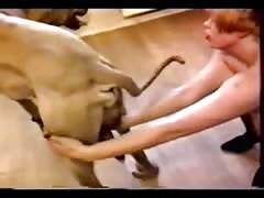Women having sex with animals zoophilia compilation
