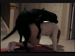 Slut strips her clothes to have dog sex