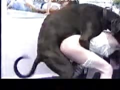 Young teen got a huge dog cock fucking her pussy