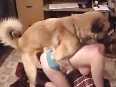 Busty teen beastiality lover got pounded by dog