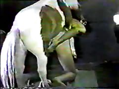Horse anal sex with a kinky beastiality lover